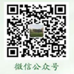 公众号二维码