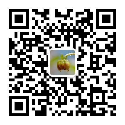 公众号二维码