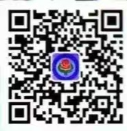 公众号二维码
