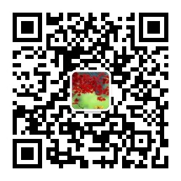 公众号二维码